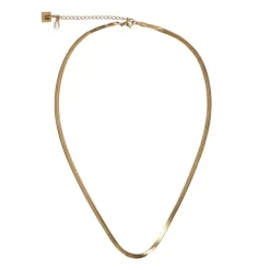 Manfield Goudkleurige ketting van stainless steel^ Sieraden